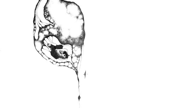 01--NUAGE