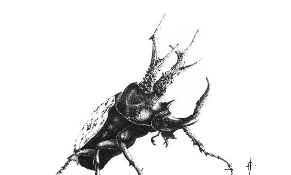 01-SANS-TITRE (1)