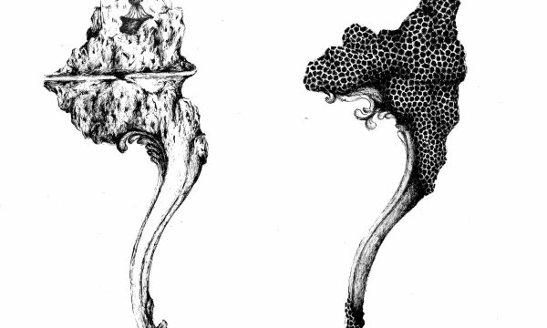 01-SANS-TITRE (4) 01-SANS-TITRE (4)