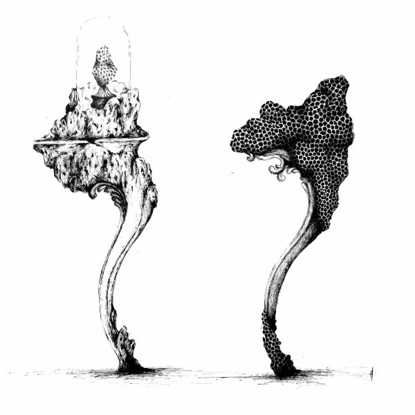 01-SANS-TITRE (4)