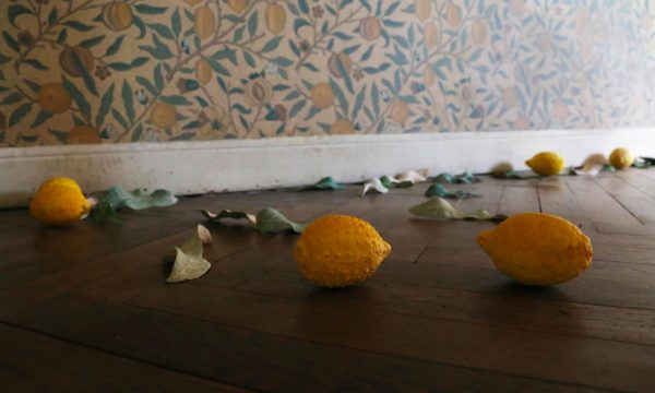 01-SANS-TITRE-(TAPISSERIE-CITRONS)