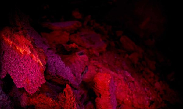 03-SPÉLÉOLOGIE