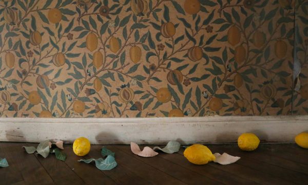 05-SANS-TITRE-(TAPISSERIE-CITRONS)