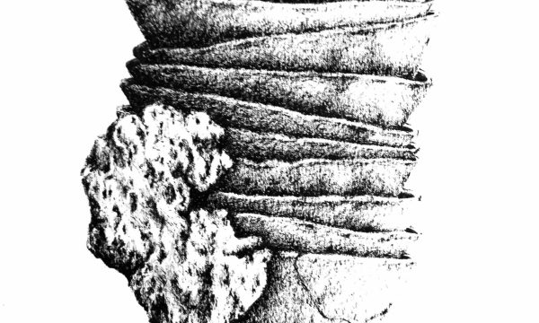 06-ARCHITECTURES