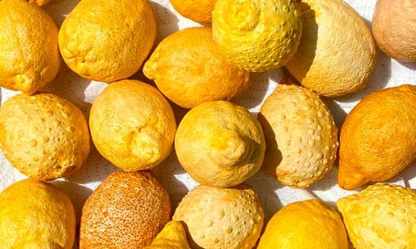 07-SANS-TITRE-(TAPISSERIE-CITRONS)