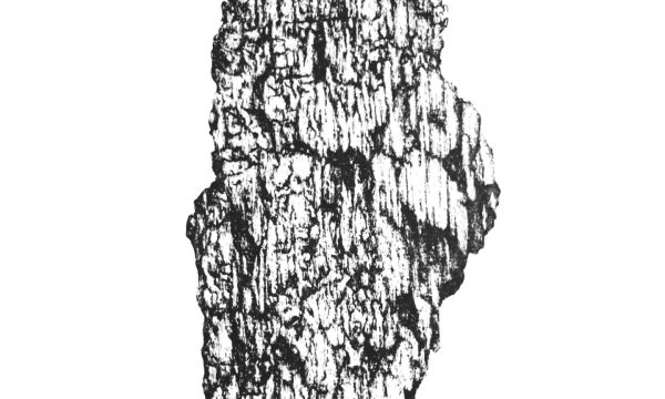 CHARBON