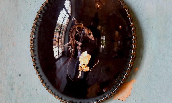 DÉTAIL-MIX-8.1