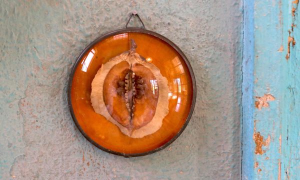 GRAINE-ORANGE