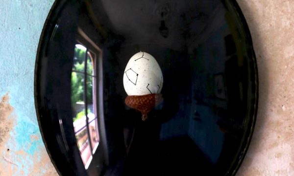 OEUF-COSMOS